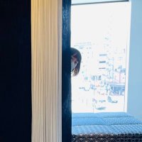 あいうぉん (@aiwon_won) 's Twitter Profile