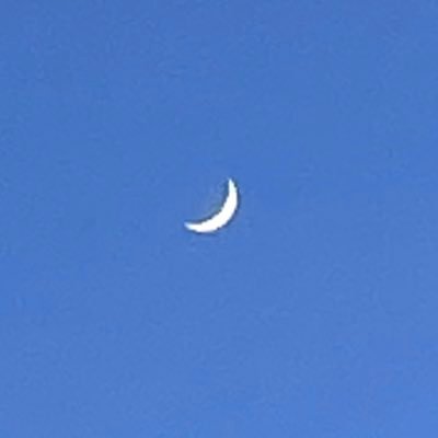 fishing4life123's profile picture. 🎣