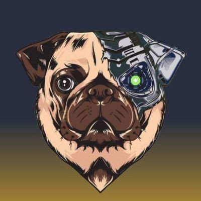 🚀PugDroid (DROID) is a innovative token 
(JUST LAUNCED) 💰4% Passive Gain paid in DogeCoin for our Holders ---
GET DROID TOKENS FOR FREE, check our posts