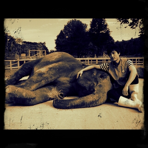elephant-keeper