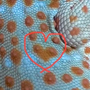 ukacio's profile picture. 