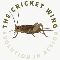 The Cricket Wing (@thecricketwing) 's Twitter Profile Photo The Cricket Wing (@thecricketwing) 's Twitter Profile Photo