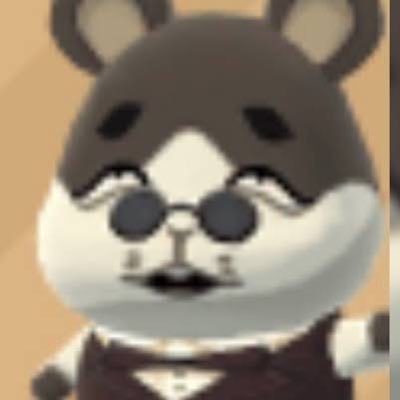 dondonmimi_jp's profile picture. Tokyo