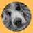 Image de profil de Louison82196649