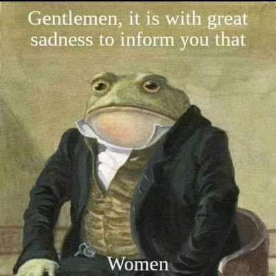 FVZepp's profile picture. “Dirigibles.” Go ahead. Say it.