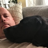 thomasS (@thomasztrom) 's Twitter Profile