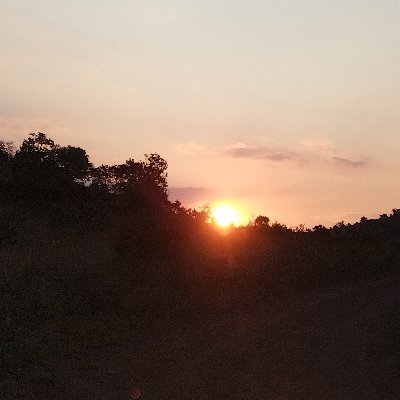 mishjardine1's profile picture. 