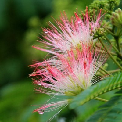 nemuyuto810's profile picture. 🐇🍓信者の🐇担。🐺×8。87と×8(裏あり)小説投稿と呟き垢。下記のツイプロ必読で、フォロリクしてください🦮甘の作品は、小説垢をご覧ください【@rurisou624】