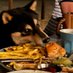 CW (@smolblackdoge) Twitter profile photo CW (@smolblackdoge) Twitter profile photo