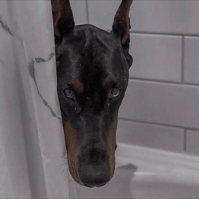 Celes_tials's profile picture. 月球上的人