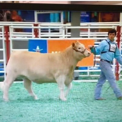 HollomanTraxton's profile picture. In God we trust