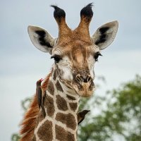 Justin Miller (@offbeatteach) 's Twitter Profile