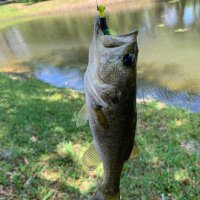 Zander Schaefer (@zanderschaefer4) 's Twitter Profile