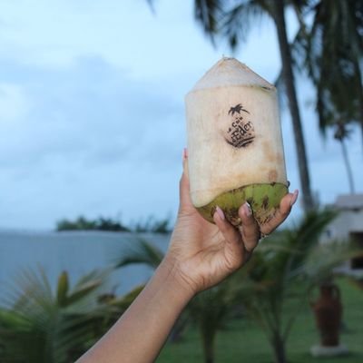 🌴🥥🥥🌴
Des noix de coco raffinées et mises en valeur autrement.
🌴🌴🥥🥥🥥🌴🌴🌴