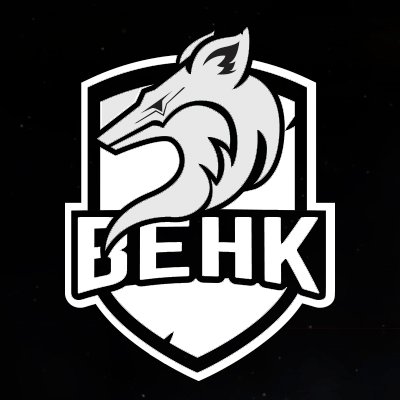 behkfox Profile Picture