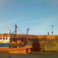 FolkestoneRT (@folkestonert) 's Twitter Profile