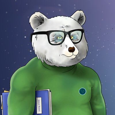 Project Manager of @SpaceBearsVNFT 🐻 a NFT project living on Vechain 🚀