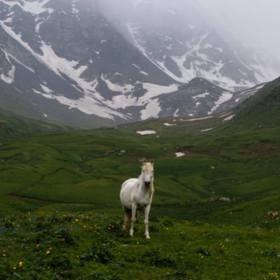 Kırgızistan’ı keşfedelim🇰🇬