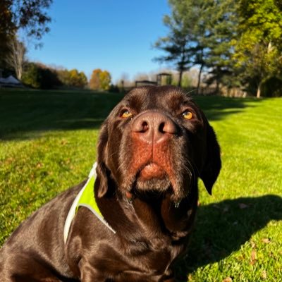 AJWFilm's profile picture. Creative Kayaker