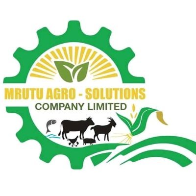 We are a Multi-Agribusiness Company, we do Agribusiness Development and Consultancy, providing ultimate classic Agribusiness Solutions from farm to the market.