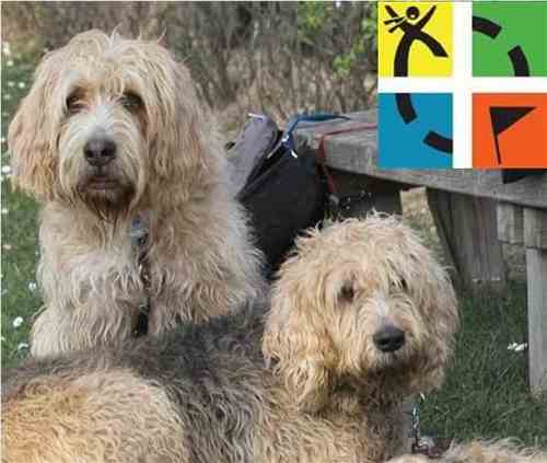 Ingress Enlightened, Geocaching, Otterhounds