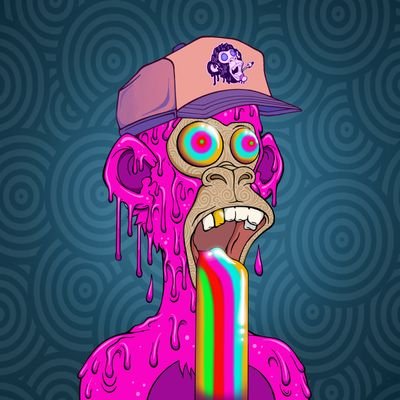 dkbqp's profile picture. 