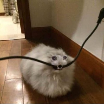 erさんのプロフィール画像