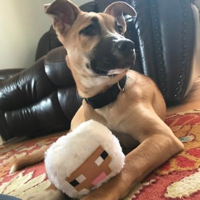 21Mashedpotatos's profile picture. 