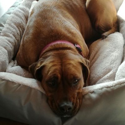 Sabrina00942771's profile picture. YouTube---  https://t.co/zMAEdvI1mY
KI Text-zu-Video---  https://t.co/hjeaPcGVU0