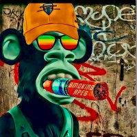 PictureLessNFT (@davidyupa_eth) 's Twitter Profile