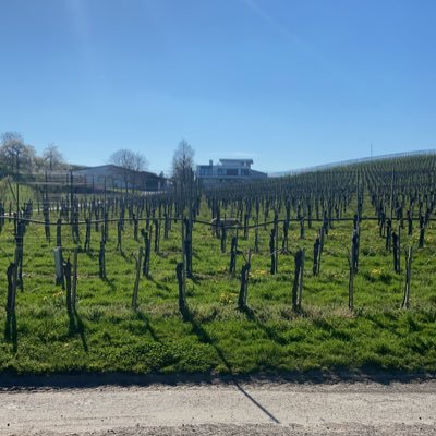 luptahne's profile picture. mir gehen politik, macht geblendete arschlöcher und kapitalismus auf den sack. hier geb ich meinen senf dazu. ernsthaft: denkt bitte mit!