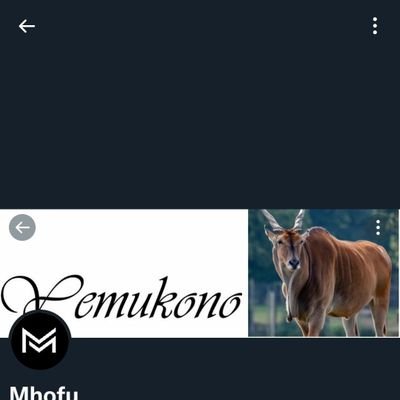 MhofuYeMukono19's profile picture. If it's not displayed then its a secret

The Major League guy

#TheBEES