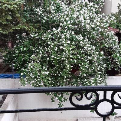 Ivonuschka's profile picture. 