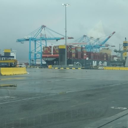 WVRolleghem's profile picture. 