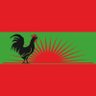 UNITA_OFICIAL's profile picture. União Nacional para a Independência Total de Angola