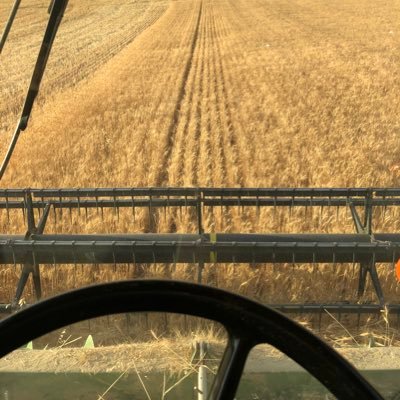 TexasStubble's profile picture. 
