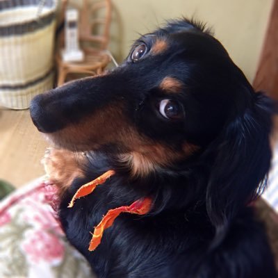 FwWLlHOcd5JmKrP's profile picture. 