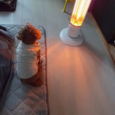 yokoono41379008's profile picture. 心地よい暮らし