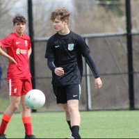 Calvin Miesel (@calvinmiesel) 's Twitter Profile
