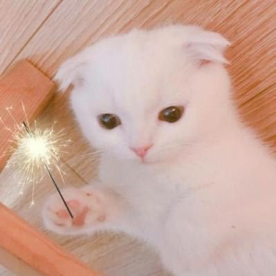 cs.pc対応。他の業者よりもいち早くアカウントをお返しできます。プレ維持実績多数。実績いいね欄。代行歴s5〜 是非お気軽にDMください。依頼中のタブハン、チームワークサービス確率高めです🆙 お支払いは銀行振込またはPayPay、Amazonギフト券です🙇♂️