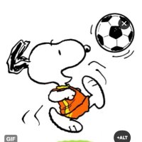 Tammy Shields (@tammykshields) 's Twitter Profile Photo