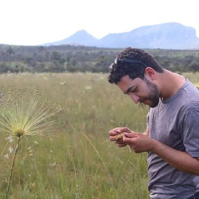 If you agree tropical grassy landscapes are fascinating, then you got me 🌾🌄 PhD student based at @UniofExeter investigating #Cerrado #EcosystemRestoration