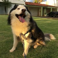 Miriam Neri Pacheco Vieira (@miriamnpv) 's Twitter Profile
