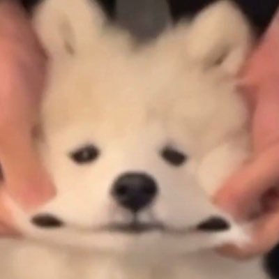 sweetiseyes's profile picture. 