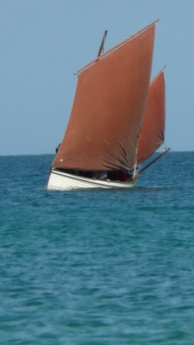 StIvesJumbo's profile picture. 