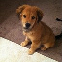 Brian Johanson - @brianjohanson - Twitter