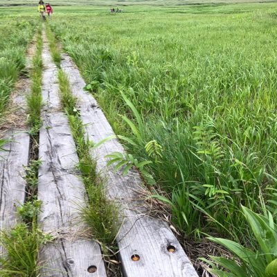 登山🔰初心者です 北海道の山から「こんにちわ」的に初心者の目で見たことを発信します 🚗ドライブなど1人旅が好きなので行った先でもつぶやきます 🙋‍♀️猫が大好き❤⁡無言フォローお許しください