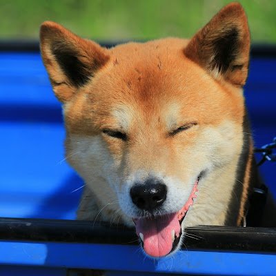 mazume221's profile picture. 「次のバイト迄放浪中」気分屋 浪費家 Since 1975 残念ながらオッサン フォローフォロバ無用ミュート推奨