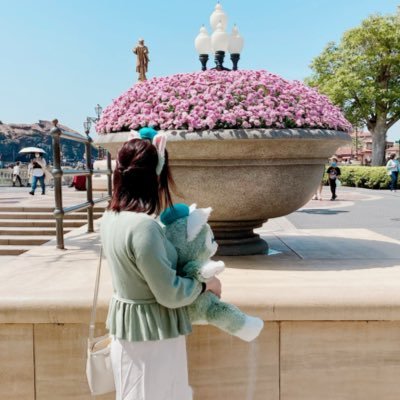 た民でDヲタでMINIで愛猫の下僕
