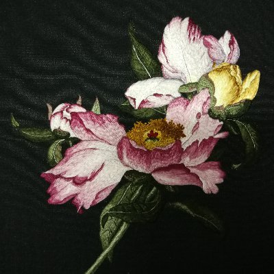 Xiaxiaoxi12's profile picture. 